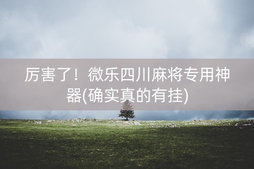 厉害了！微乐四川麻将专用神器(确实真的有挂)