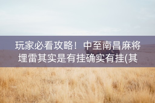 玩家必看攻略！中至南昌麻将埋雷其实是有挂确实有挂(其实是有挂确实有挂)