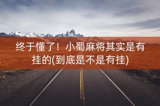 终于懂了！小蜀麻将其实是有挂的(到底是不是有挂)