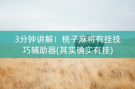 3分钟讲解！桃子麻将有挂技巧辅助器(其实确实有挂)