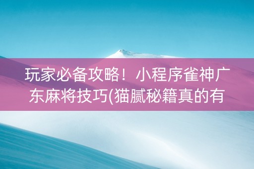 玩家必备攻略！小程序雀神广东麻将技巧(猫腻秘籍真的有挂)