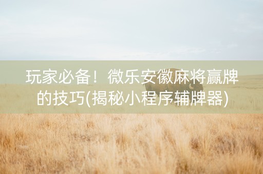 玩家必备！微乐安徽麻将赢牌的技巧(揭秘小程序辅牌器)