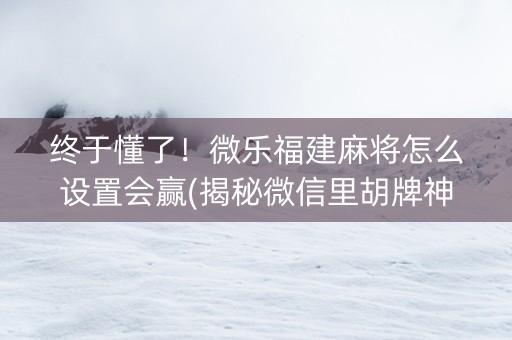 终于懂了！微乐福建麻将怎么设置会赢(揭秘微信里胡牌神器)