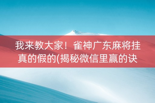我来教大家！雀神广东麻将挂真的假的(揭秘微信里赢的诀窍)
