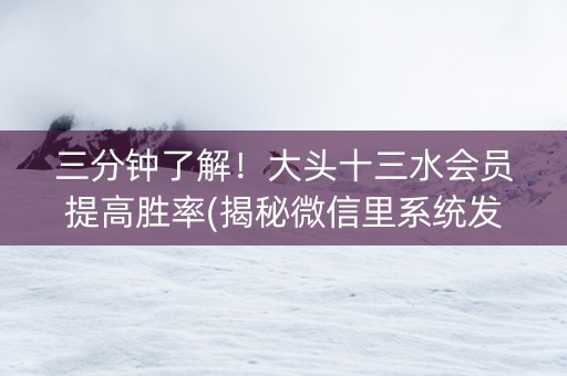 三分钟了解！大头十三水会员提高胜率(揭秘微信里系统发好牌)