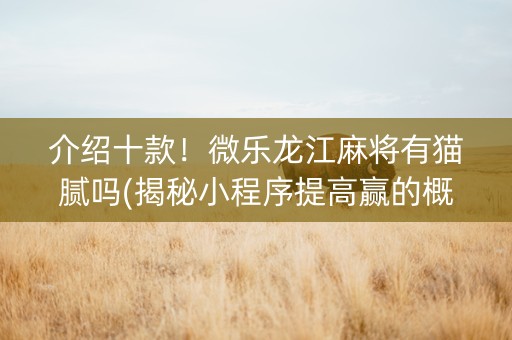 介绍十款！微乐龙江麻将有猫腻吗(揭秘小程序提高赢的概率)