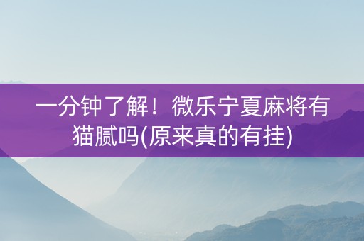 一分钟了解！微乐宁夏麻将有猫腻吗(原来真的有挂)