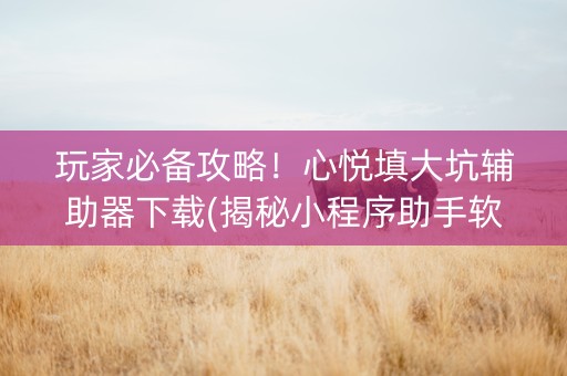 玩家必备攻略！心悦填大坑辅助器下载(揭秘小程序助手软件)