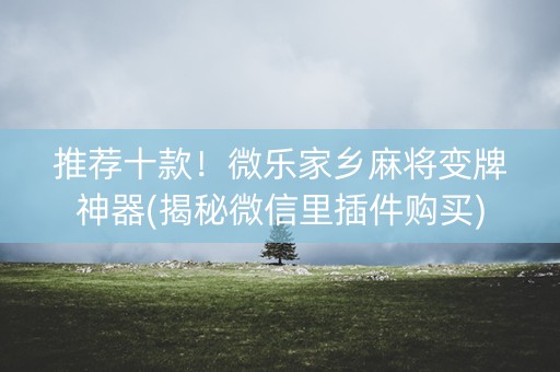 推荐十款！微乐家乡麻将变牌神器(揭秘微信里插件购买)