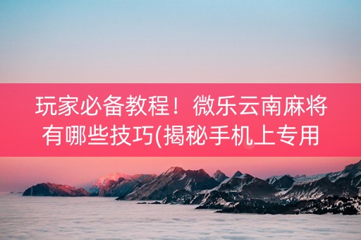 玩家必备教程！微乐云南麻将有哪些技巧(揭秘手机上专用神器)