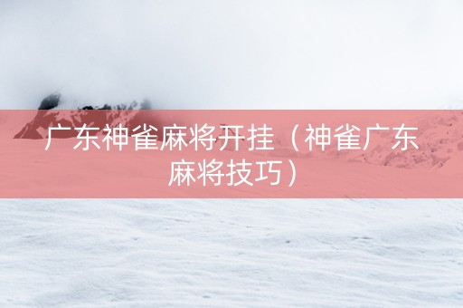 广东神雀麻将开挂（神雀广东麻将技巧）