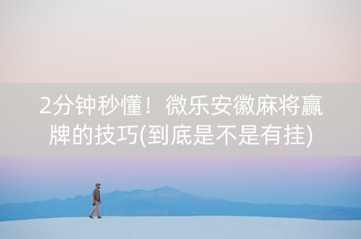 2分钟秒懂！微乐安徽麻将赢牌的技巧(到底是不是有挂)