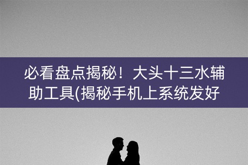 必看盘点揭秘！大头十三水辅助工具(揭秘手机上系统发好牌)