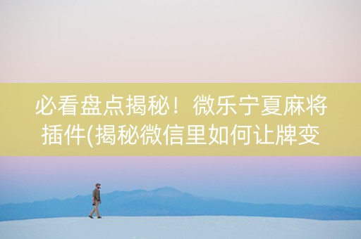 必看盘点揭秘！微乐宁夏麻将插件(揭秘微信里如何让牌变好)