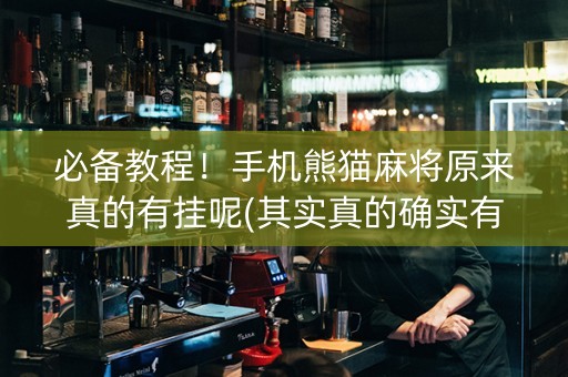必备教程！手机熊猫麻将原来真的有挂呢(其实真的确实有挂)