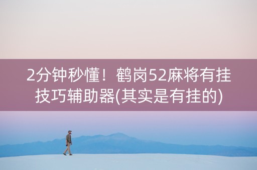 2分钟秒懂！鹤岗52麻将有挂技巧辅助器(其实是有挂的)
