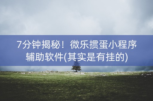 7分钟揭秘！微乐掼蛋小程序辅助软件(其实是有挂的)