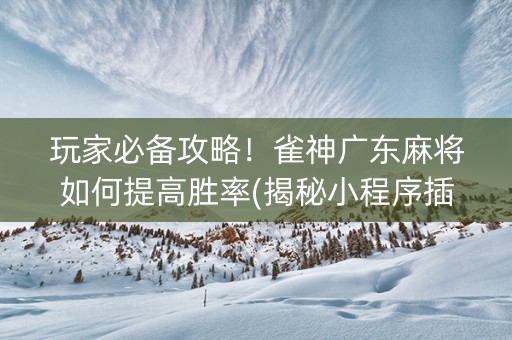玩家必备攻略！雀神广东麻将如何提高胜率(揭秘小程序插件购买)