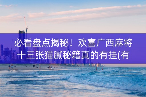必看盘点揭秘！欢喜广西麻将十三张猫腻秘籍真的有挂(有挂技巧辅助器)
