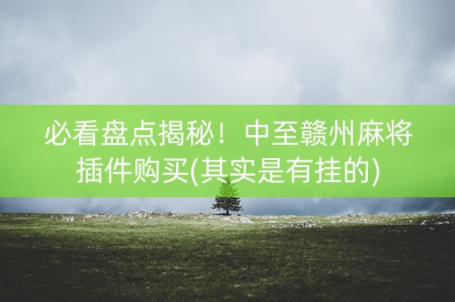 必看盘点揭秘！中至赣州麻将插件购买(其实是有挂的)