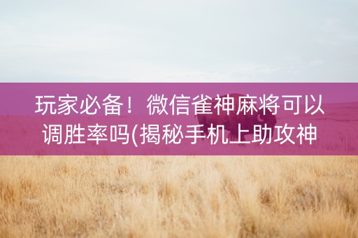 玩家必备！微信雀神麻将可以调胜率吗(揭秘手机上助攻神器)