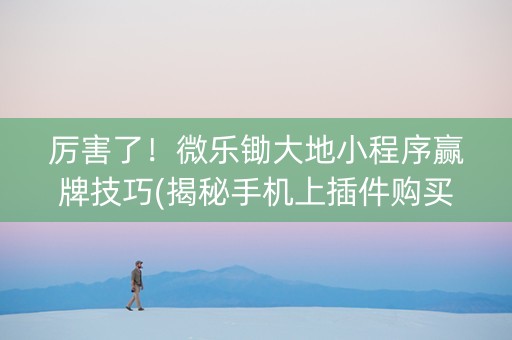 厉害了！微乐锄大地小程序赢牌技巧(揭秘手机上插件购买)