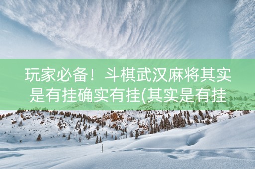 玩家必备！斗棋武汉麻将其实是有挂确实有挂(其实是有挂的)