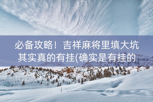 必备攻略！吉祥麻将里填大坑其实真的有挂(确实是有挂的)