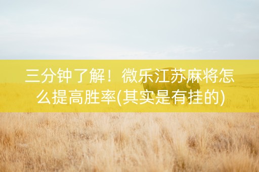 三分钟了解！微乐江苏麻将怎么提高胜率(其实是有挂的)