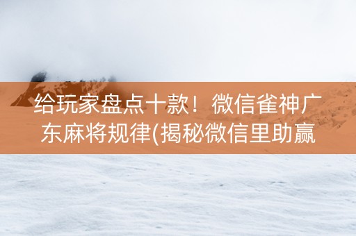 给玩家盘点十款！微信雀神广东麻将规律(揭秘微信里助赢神器购买)