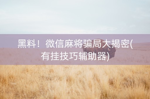 黑料！微信麻将骗局大揭密(有挂技巧辅助器)