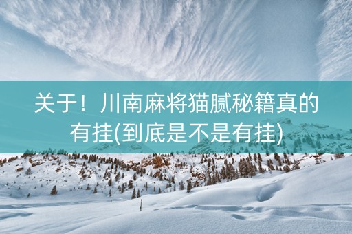 关于！川南麻将猫腻秘籍真的有挂(到底是不是有挂)