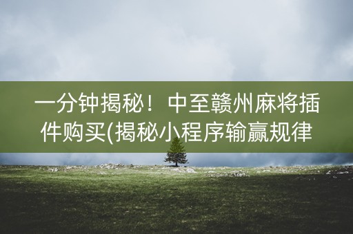 一分钟揭秘！中至赣州麻将插件购买(揭秘小程序输赢规律)