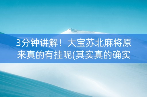 3分钟讲解！大宝苏北麻将原来真的有挂呢(其实真的确实有挂)
