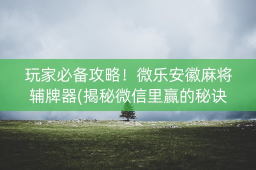 玩家必备攻略！微乐安徽麻将辅牌器(揭秘微信里赢的秘诀)