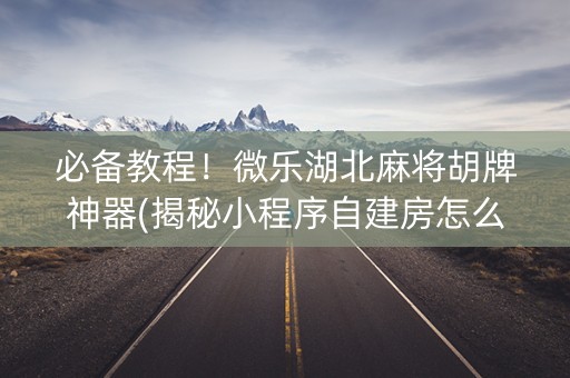 必备教程！微乐湖北麻将胡牌神器(揭秘小程序自建房怎么赢)