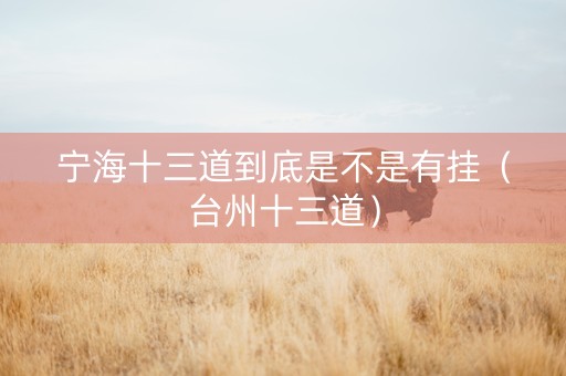宁海十三道到底是不是有挂（台州十三道）