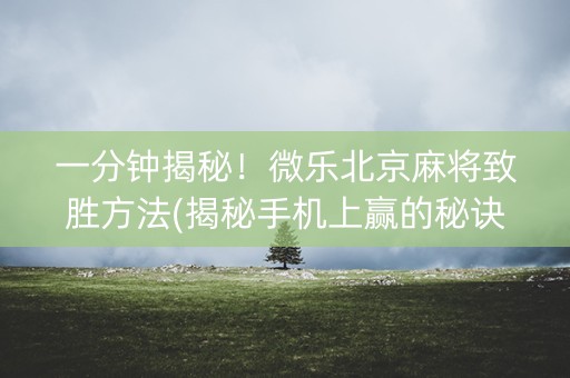 一分钟揭秘！微乐北京麻将致胜方法(揭秘手机上赢的秘诀)