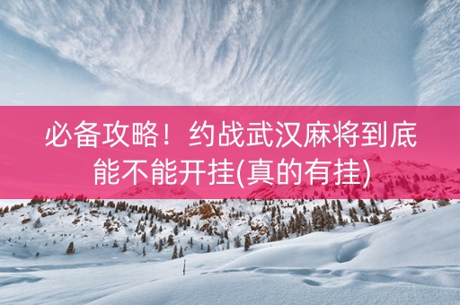 必备攻略！约战武汉麻将到底能不能开挂(真的有挂)