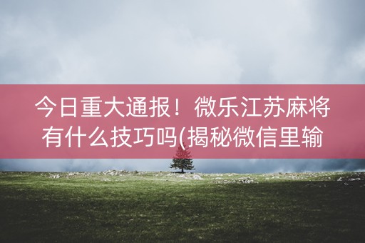 今日重大通报！微乐江苏麻将有什么技巧吗(揭秘微信里输赢规律)