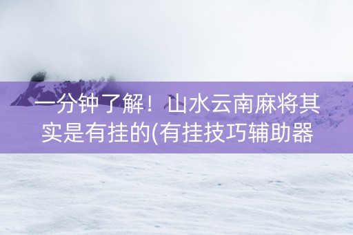 一分钟了解！山水云南麻将其实是有挂的(有挂技巧辅助器)