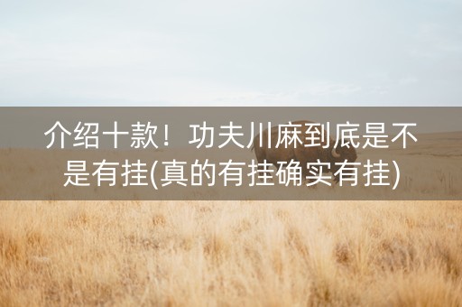 介绍十款！功夫川麻到底是不是有挂(真的有挂确实有挂)