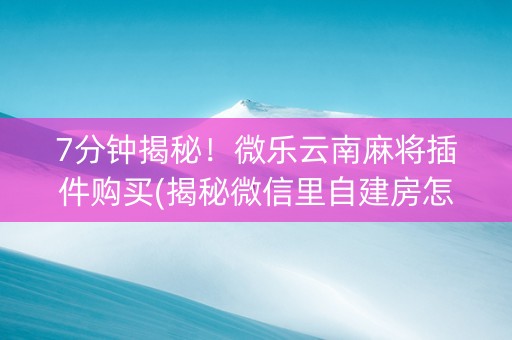 7分钟揭秘！微乐云南麻将插件购买(揭秘微信里自建房怎么赢)