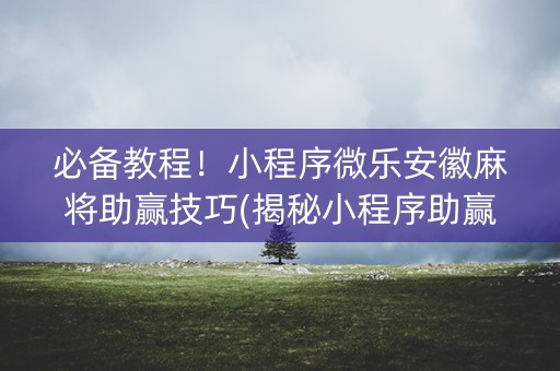 必备教程！小程序微乐安徽麻将助赢技巧(揭秘小程序助赢软件)