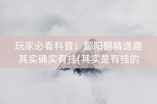 玩家必看科普！鄱阳翻精逸趣其实确实有挂(其实是有挂的)