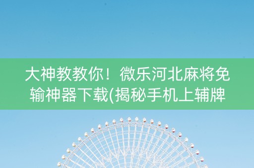 大神教教你！微乐河北麻将免输神器下载(揭秘手机上辅牌器)
