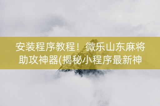 安装程序教程！微乐山东麻将助攻神器(揭秘小程序最新神器下载)