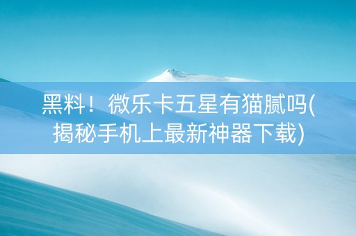 黑料！微乐卡五星有猫腻吗(揭秘手机上最新神器下载)