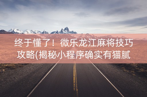 终于懂了！微乐龙江麻将技巧攻略(揭秘小程序确实有猫腻)
