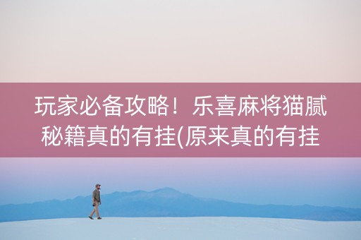 玩家必备攻略！乐喜麻将猫腻秘籍真的有挂(原来真的有挂)